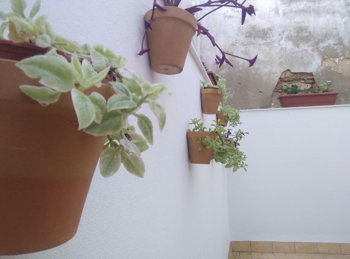 Apartamento Palo Cortao Jerez de la Frontera Zewnętrze zdjęcie